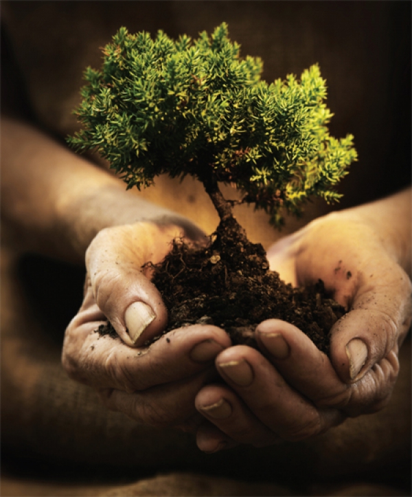 Ekologia niejedno ma imię